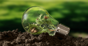 plant growing inside a lightbulb