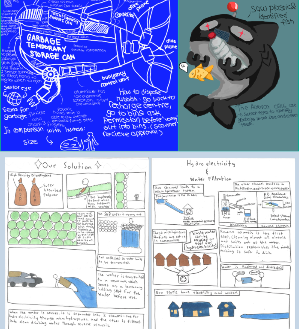 World Solutions Challenge Supplemental Item Examples